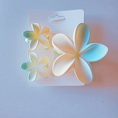 SET BROCHES  X 2