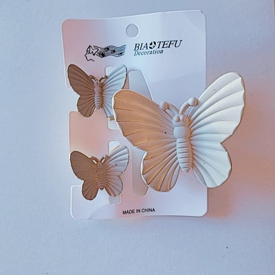 SET BROCHES X 2