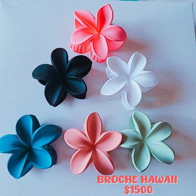 BROCHES X 2