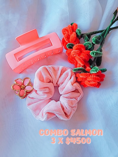 PROMO ACCESORIOS PARA EL PELO 