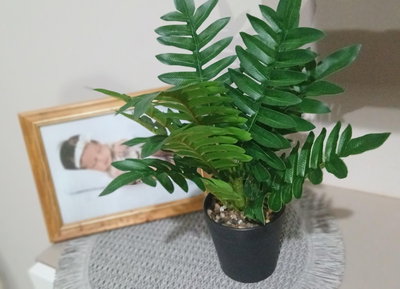 Planta artificial de hojas verdes estilo palmera en maceta de pvc de 35 cm