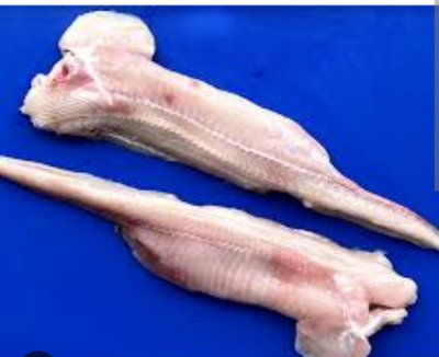 Pollo de mar