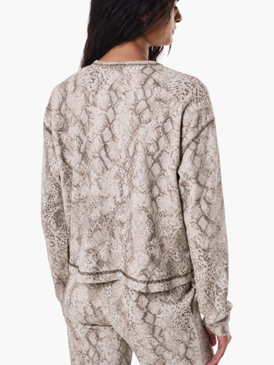 BUZO SNAKE BEIGE