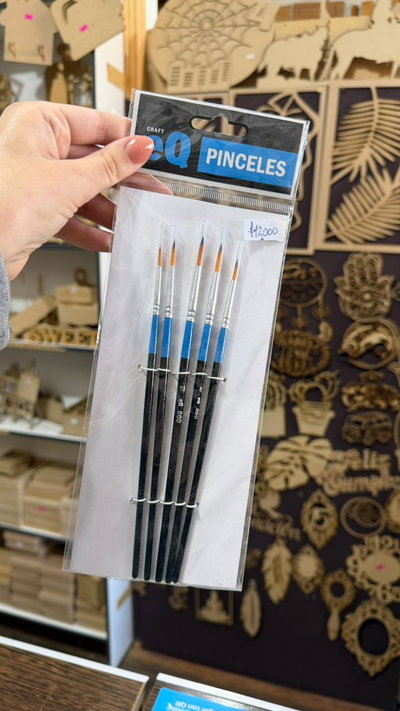 Set Pinceles EQ Redondo 