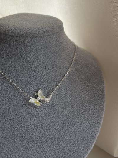 Conjunto mariposas