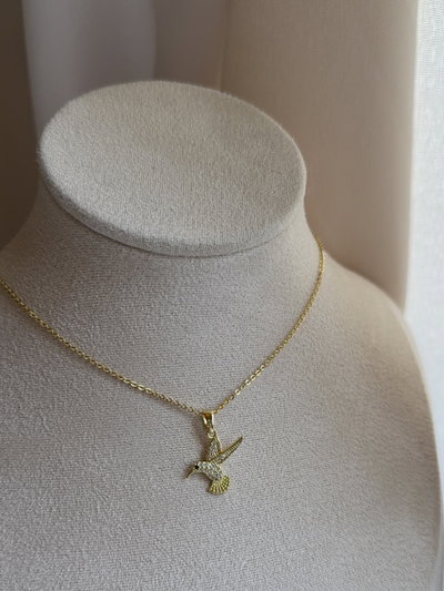Conjunto mini colibrí 
