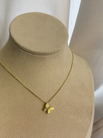 Conjunto mariposa 