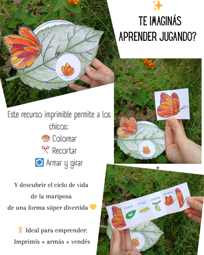 Ciclo de la mariposa (PRODUCTO DIGITAL)