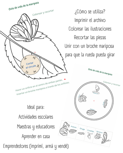 Ciclo de la mariposa (PRODUCTO DIGITAL)