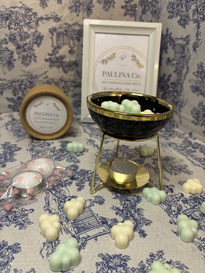Kit wax melts 