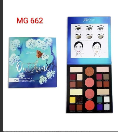 PALETA DE COLORES AUTSHINE X 24