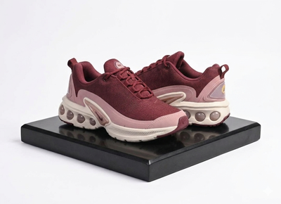 Nike Air Max DN Tech