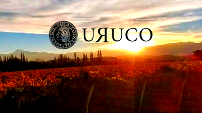 CAJA BODEGA URUCO - CABERNET FRANC