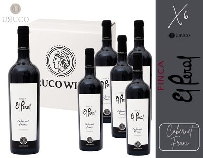 CAJA BODEGA EL PERAL - CABERNET FRANC