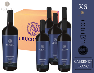CAJA BODEGA URUCO - CABERNET FRANC