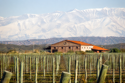 CAJA BODEGA ALTOS LAS HORMIGAS - MALBEC
