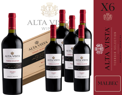 CAJA BODEGA ALTA VISTA WINES - TERROIR SELECTION MALBEC