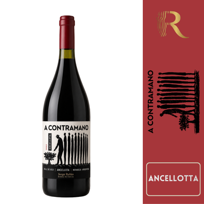 BODEGA JORGE RUBIO - LINEA A CONTRAMANO ANCELLOTTA