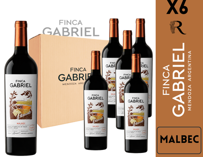 CAJA BODEGA JORGE RUBIO - LINEA FINCA GABRIEL MALBEC