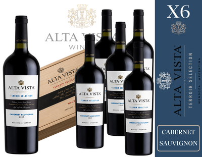 CAJA BODEGA ALTA VISTA WINES - TERROIR SELECTION CABERNET SAUVIGNON