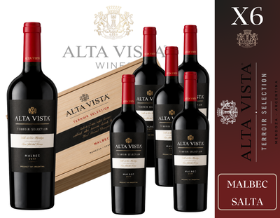CAJA BODEGA ALTA VISTA WINES - TERROIR SELECTION MALBEC SALTA