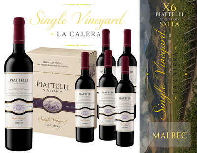 CAJA BODEGA PIATTELLI - LINEA SALTA - SINGLE VINEYARD MALBEC