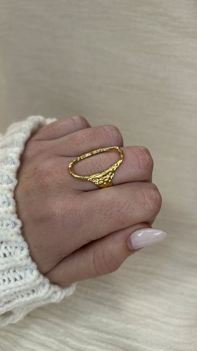 Anillo Aurea Void (regulable) - Acero Dorado 