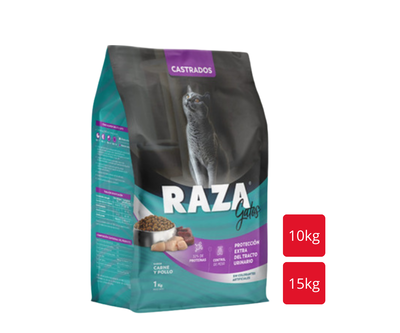 RAZA Gato Castrado  