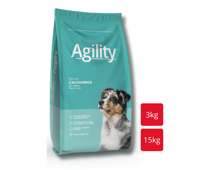 AGILITY Perro Cachorro