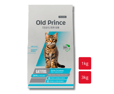OLD PRINCE EQ Gato Kitten