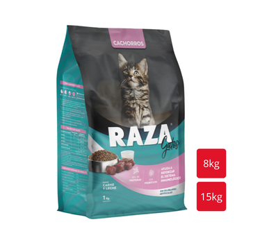 RAZA Gatito