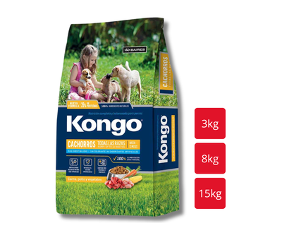KONGO Perro Cachorro