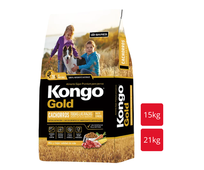KONGO GOLD Perro Cachorro