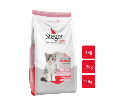 SIEGER Gato Kitten