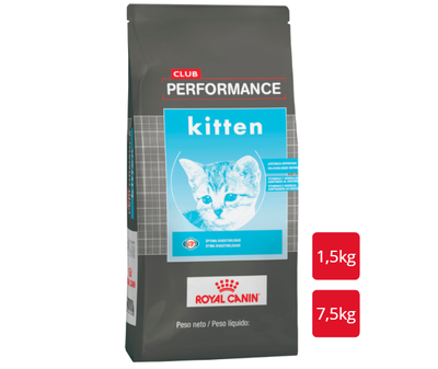 CLUB PERMORMANCE Gato Kitten   