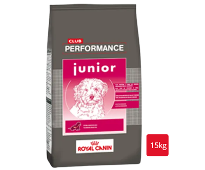 CLUB PERFORMANCE Perro Cachorro