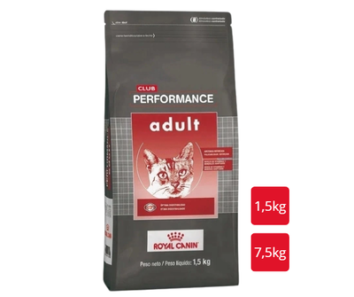 CLUB PERMORMANCE Gato Adulto   