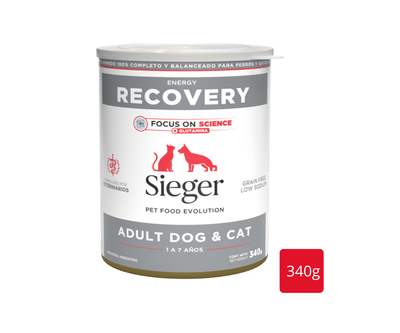 Lata SIEGER RECOVERY