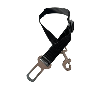 Cinturón de seguridad