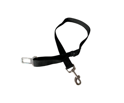 Cinturón de seguridad