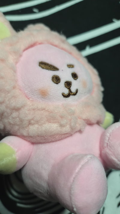 Peluche "COOKY" BT21/BTS - LINE Importado
