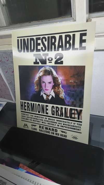 Poster lenticular A3 "WANTED" Harry - Hermione - Ron "2"