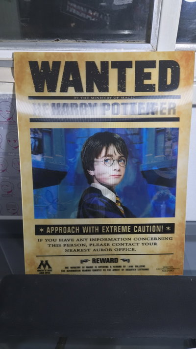Poster lenticular A3 "WANTED" Harry - Hermione - Ron