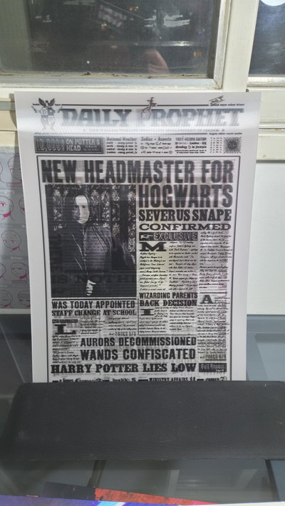 Poster lenticular A3 "BOY WHO LIES?" Harry Potter 2