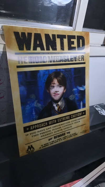 Poster lenticular A3 "WANTED" Harry - Hermione - Ron