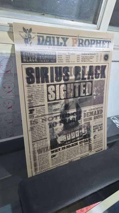 Poster lenticular A3 "BOY WHO LIES?" Harry Potter