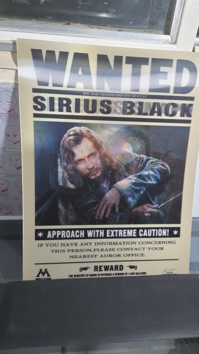 Poster lenticular A3 "WANTED" Sirius - Snape - Lupin