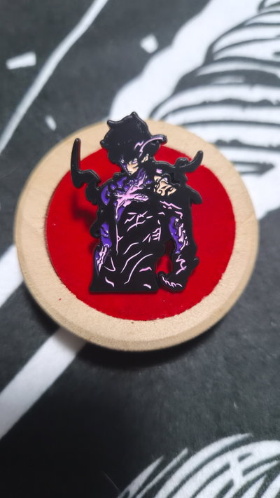 Pin "SOLO LEVELING"