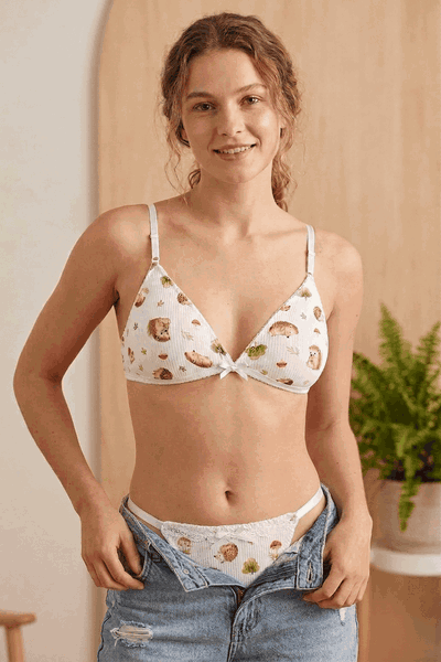Conjunto Puercoespín