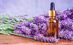 Lavanda